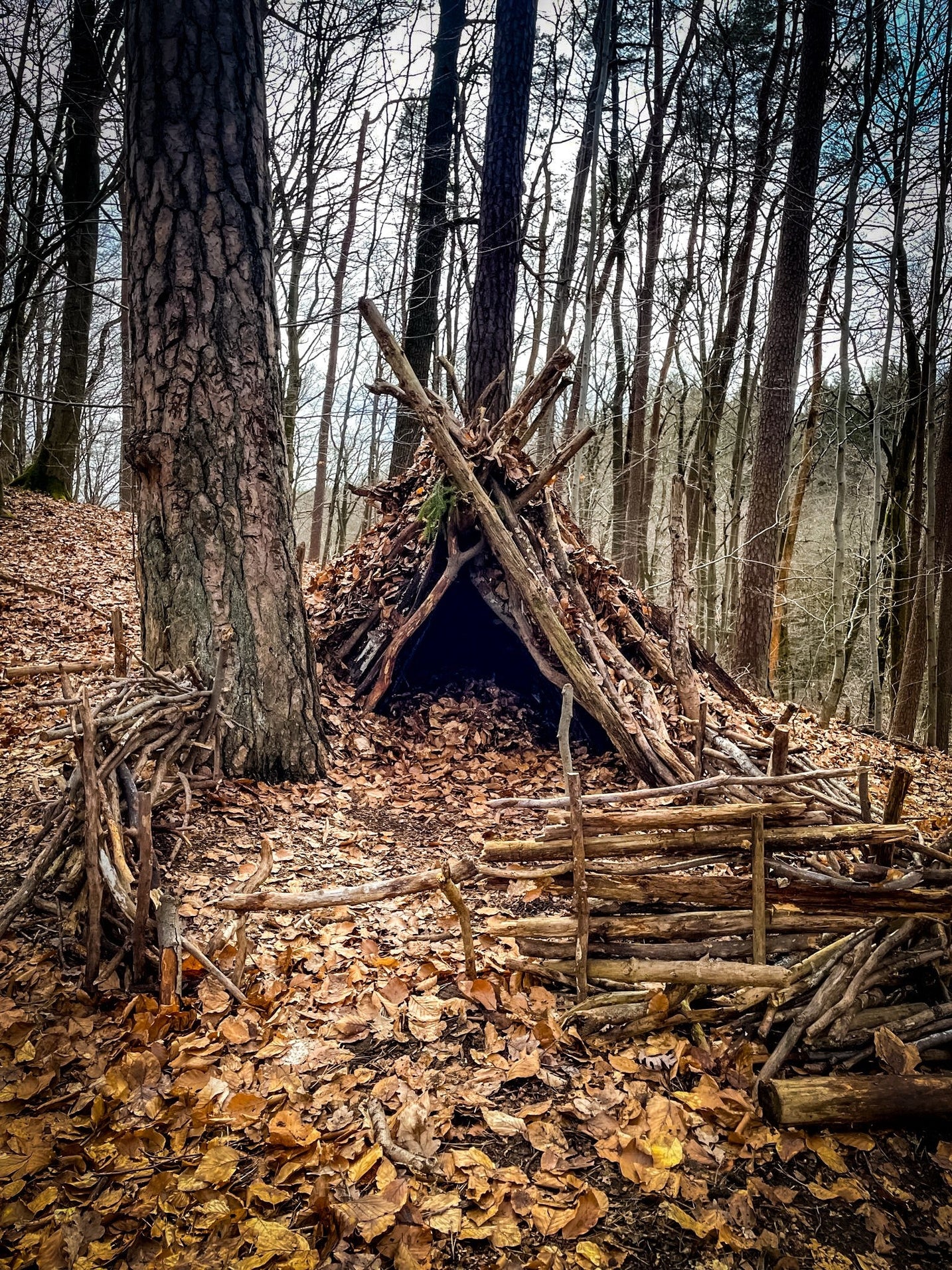 Survival in der Wildnis: Die Kunst des Überlebens